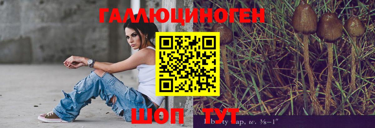 Псилоцибиновые грибы GOLDEN TEACHER  Псилоцибиновые грибы MAGIC MUSHROOMS  Вход с VPN  Среднеуральск 
